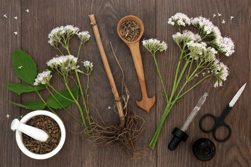 benefits-and-side-effects-of-valerian-root-for-anxiety-betterhelp