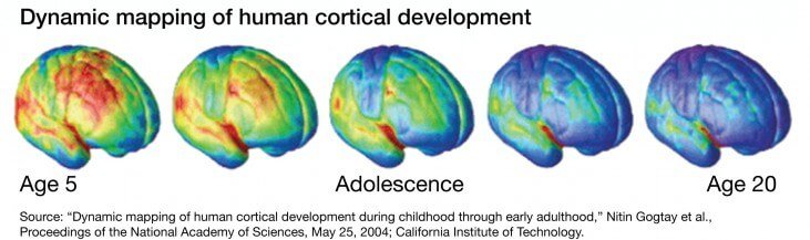 What are the online cognitive development in adolescence