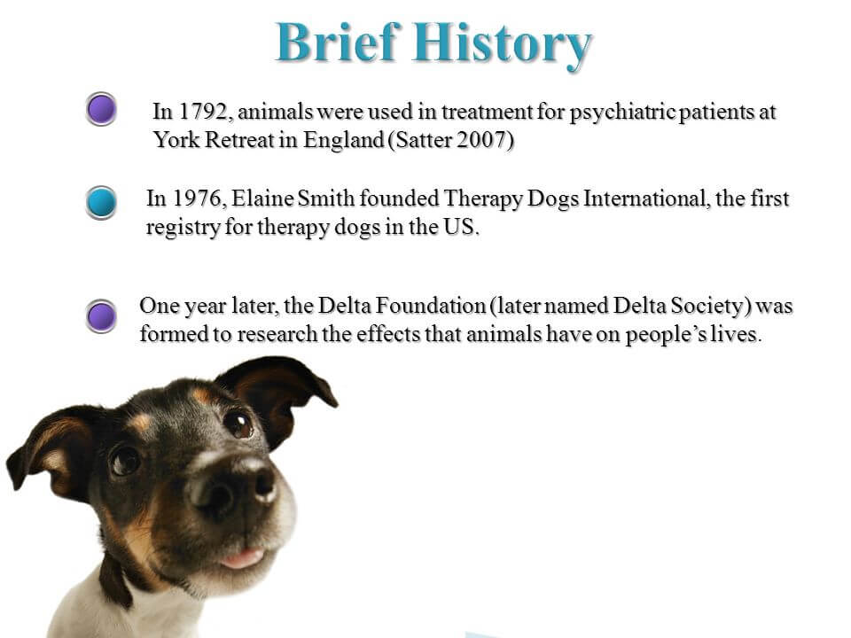 do-therapy-dogs-really-work-betterhelp