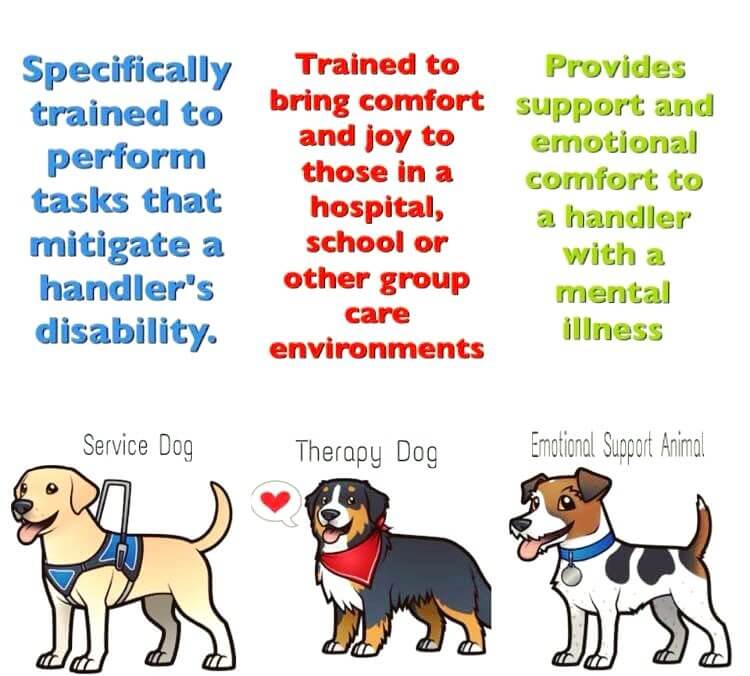 do-therapy-dogs-really-work-betterhelp