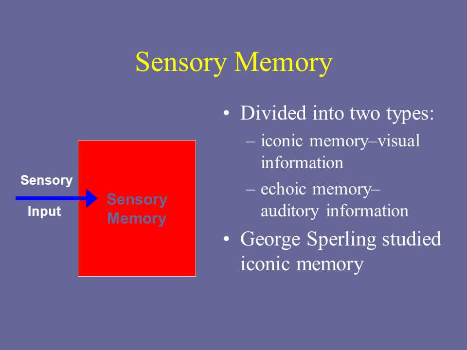 What Is An Echoic Memory