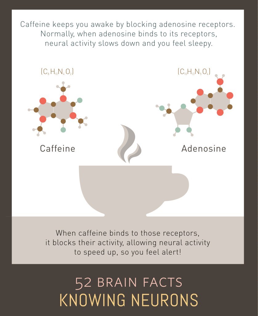 Is There a Connection Between Caffeine and Anxiety? Betterhelp