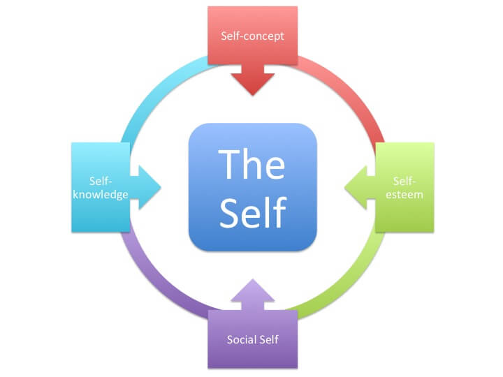The Theory Of Self Orientation