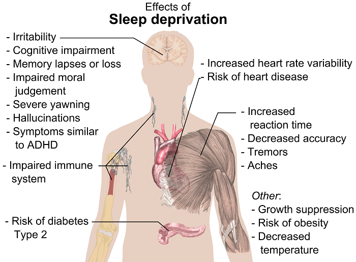 Stages Of Sleep Chart