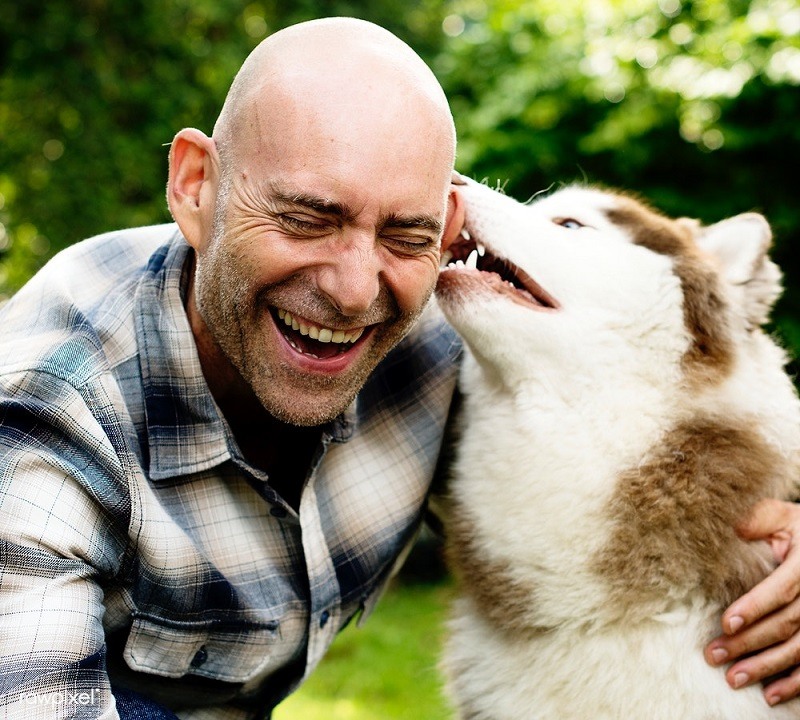 having a therapy dog