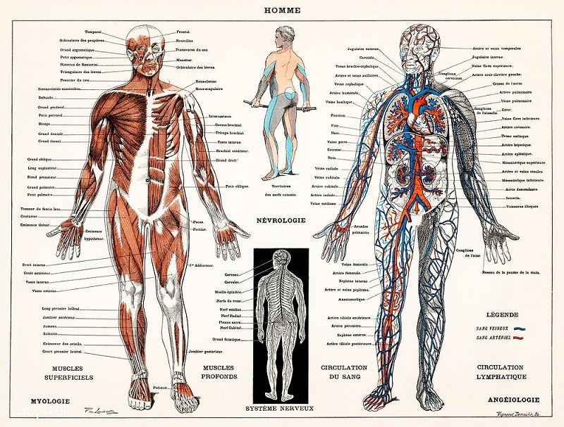 6 Symptoms and Disorders That Can Be Treated with Biofeedback