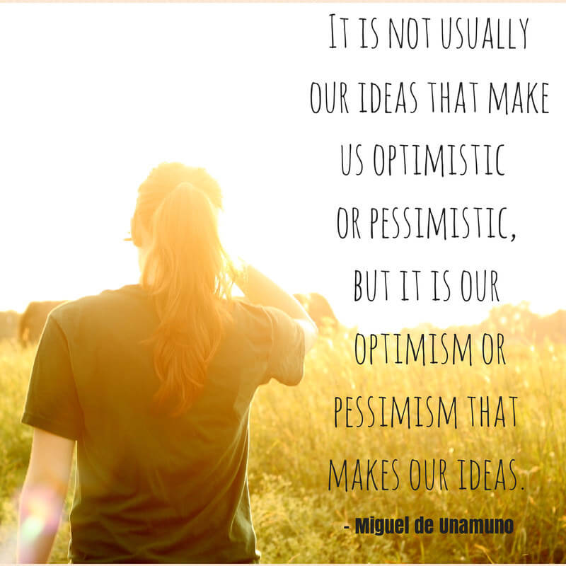 unsustainable optimism meaning