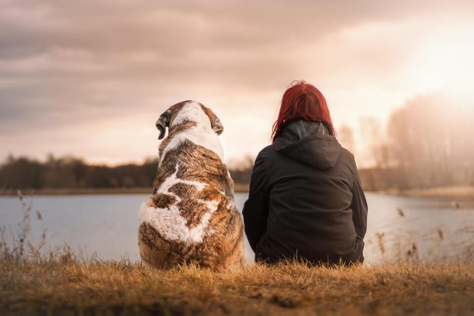 how therapy dogs help a teenage person