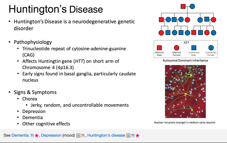 Image result for Huntington disease
