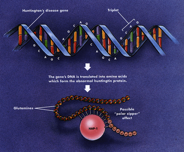 Understanding Juvenile Huntington's Disease | Betterhelp