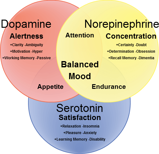 What Is Dopamine And How Does It Affect The Brain And The Body Betterhelp 0842