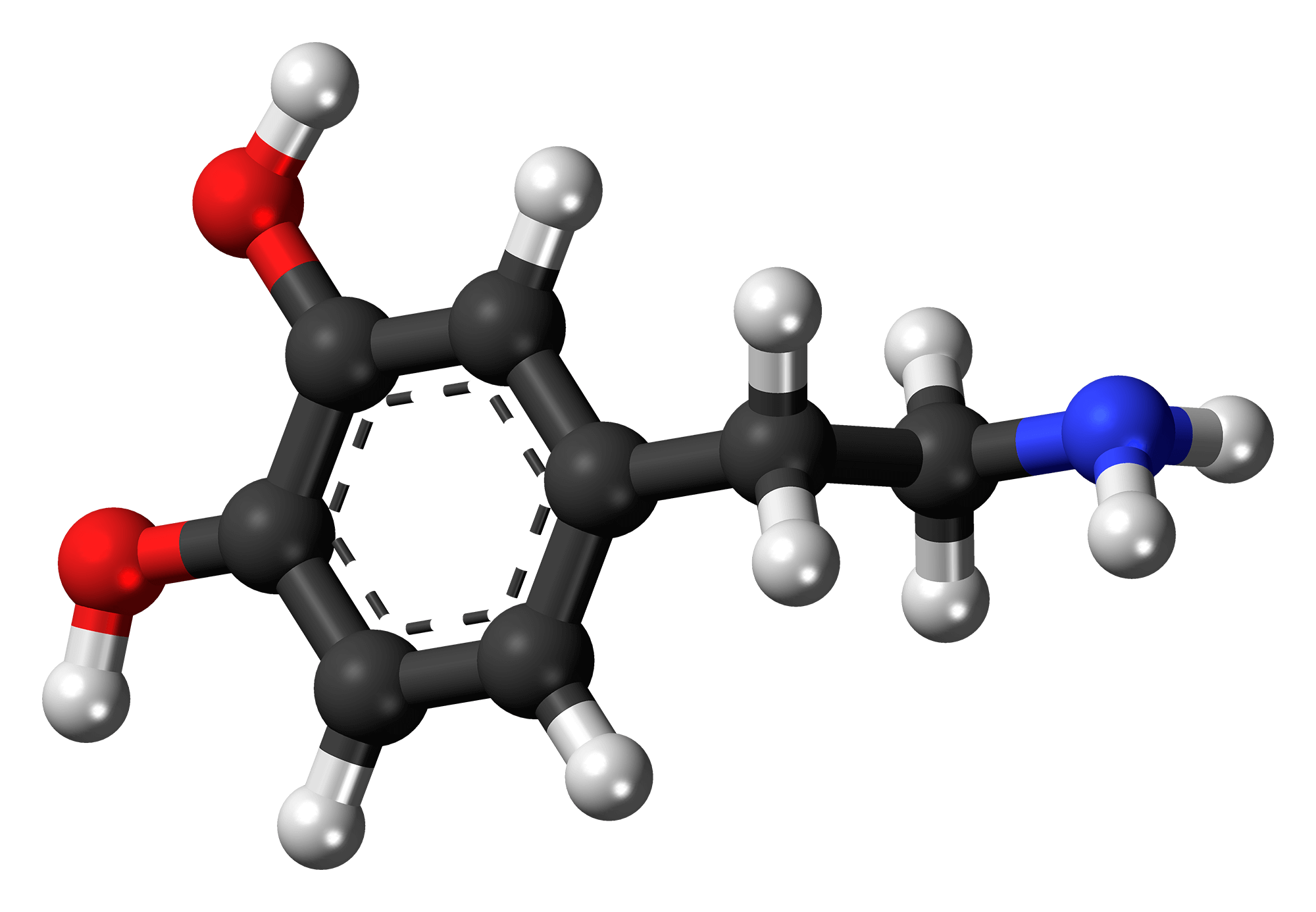 What Is A Dopamine Molecule And How Does It Affect Me? Betterhelp