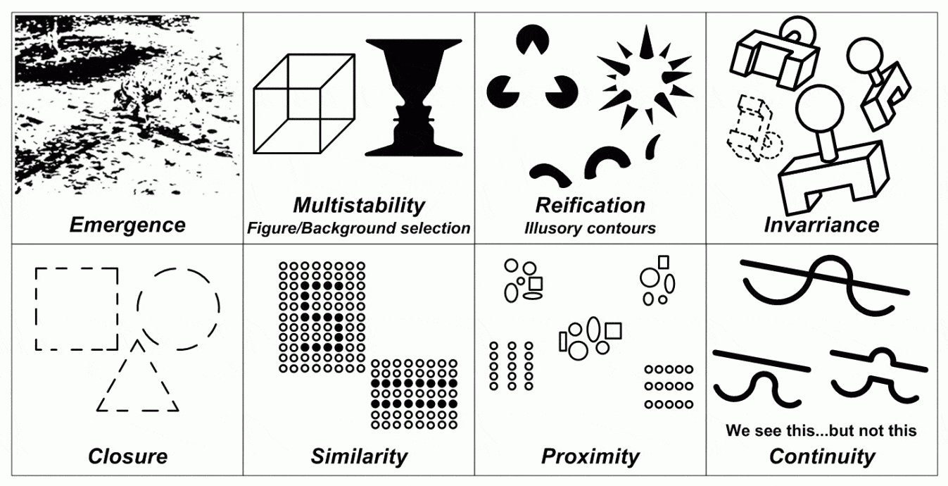 What Is Insight? Psychology, Definition, And Practical Examples