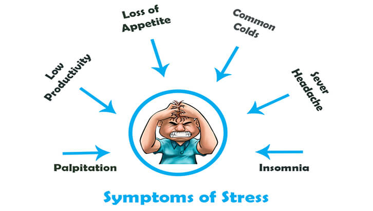 Stress lesson. Symptoms of stress. Причины стресса на английском. Стресс ГИВ. Накопительный эффект стресса.