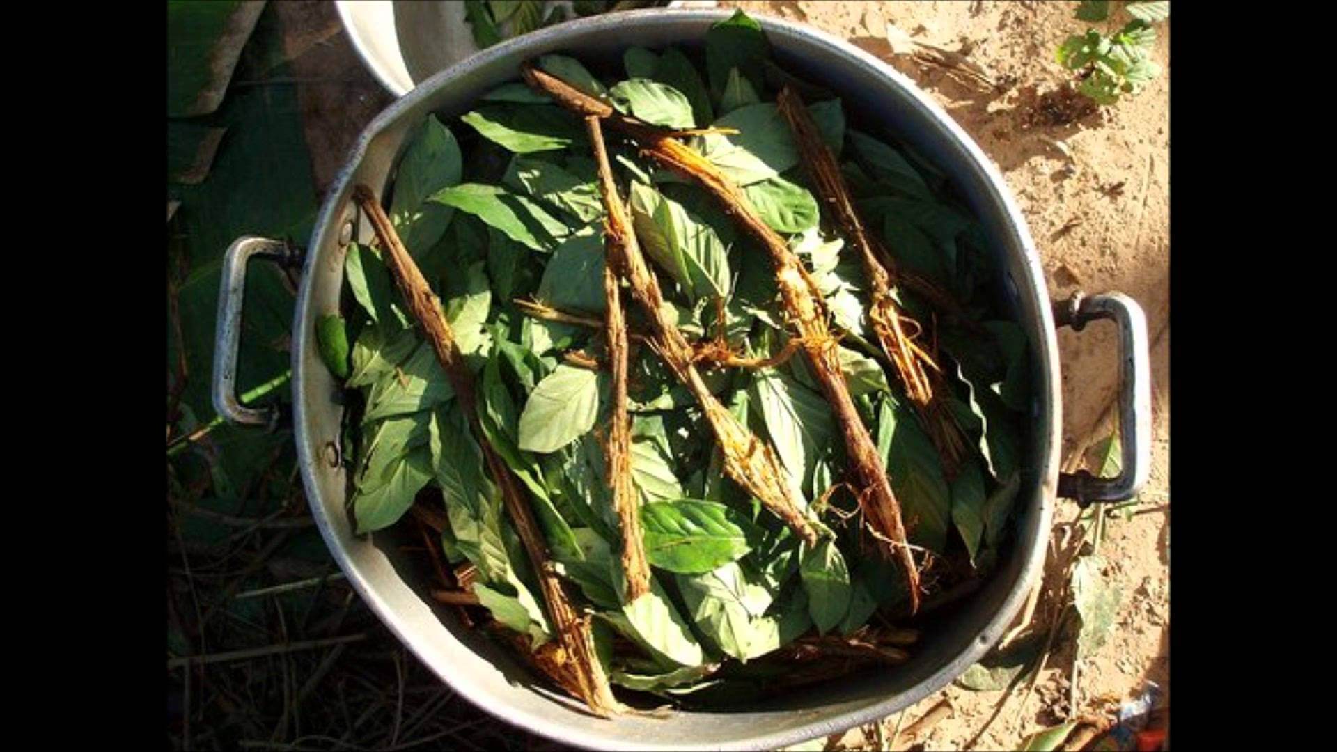 Which Natural Supplements Help With Depression? BetterHelp